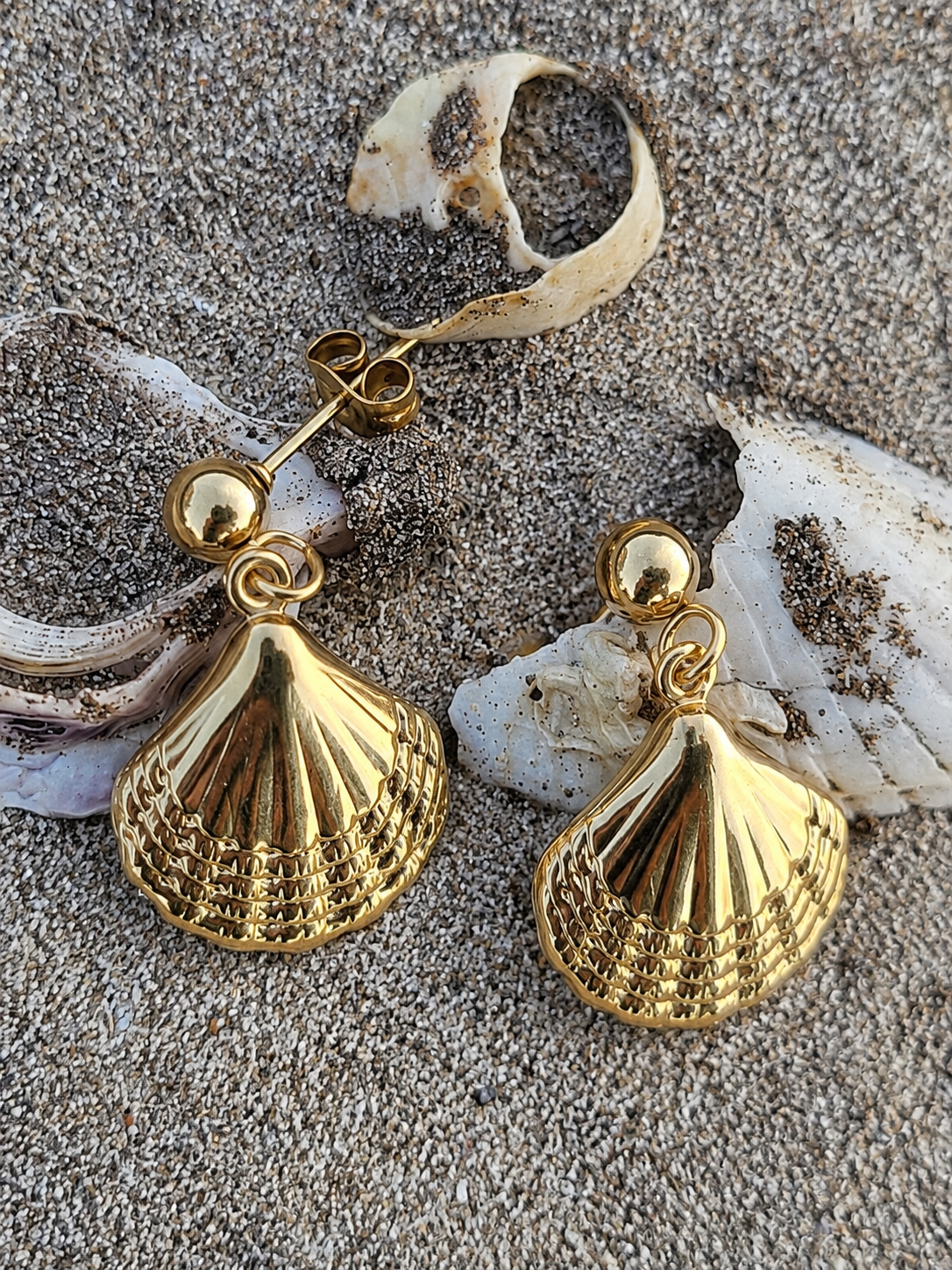 Shell Inspired Danglers